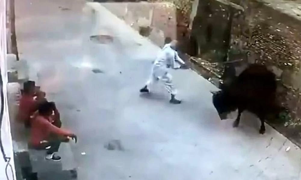 Τον κτύπησε με ραβδί και ο ταύρος τον έκανε "αεροπλάνο"